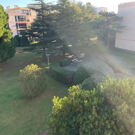 Studio A 300 M De La Apartment *